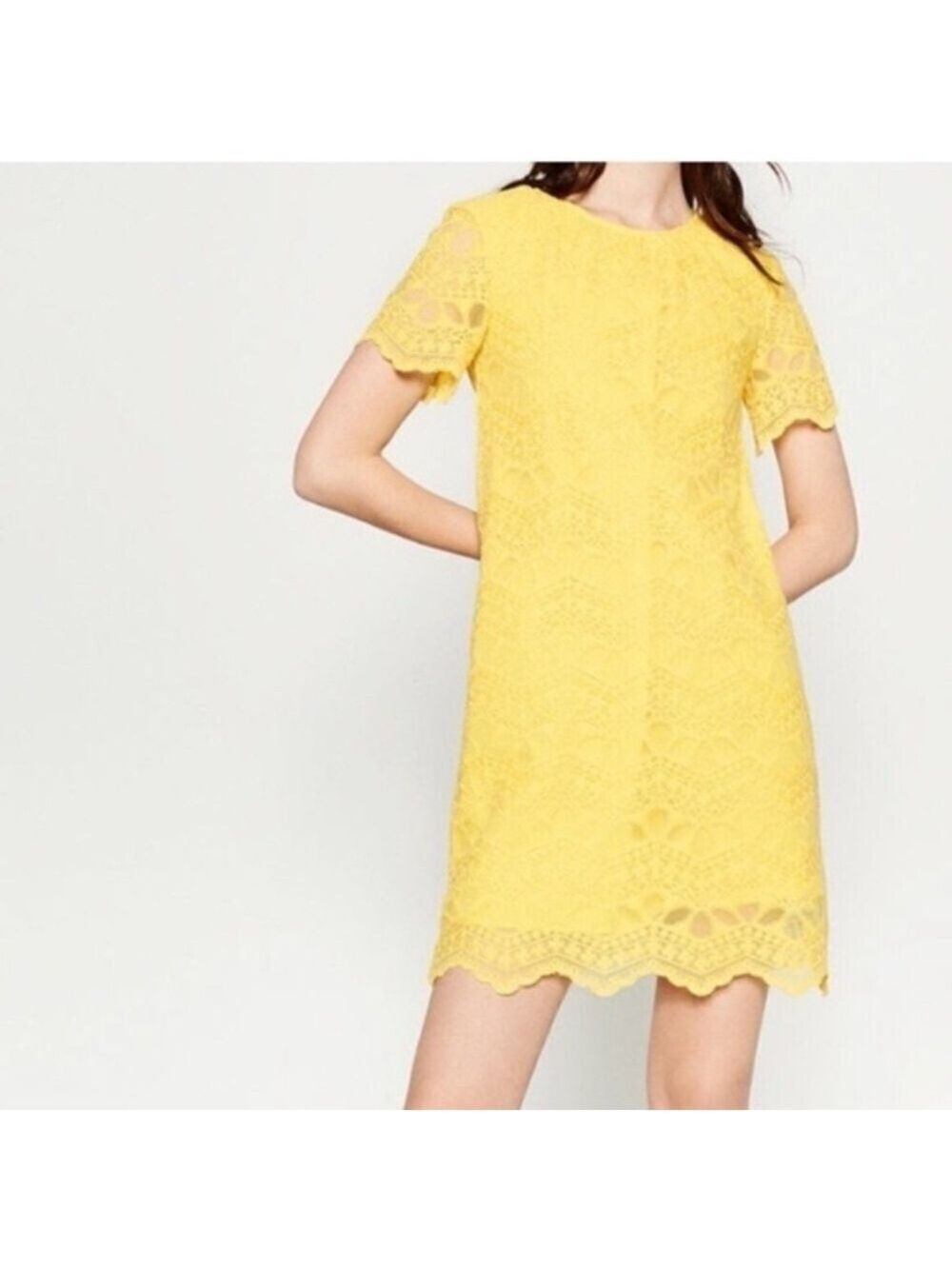 Zara Yellow Lace Mini Dress. Size Small